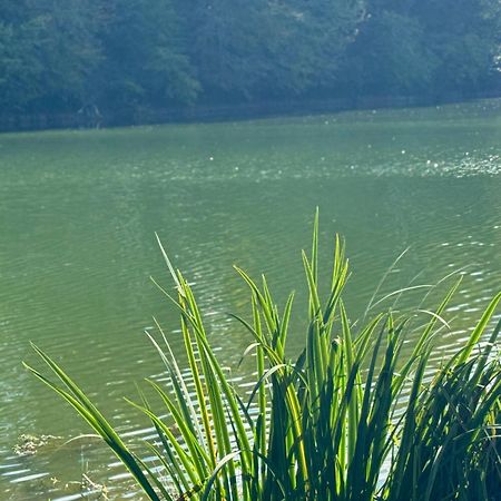 Lac De Lumiere. Relax With Rural Lakeside Living Herry Esterno foto