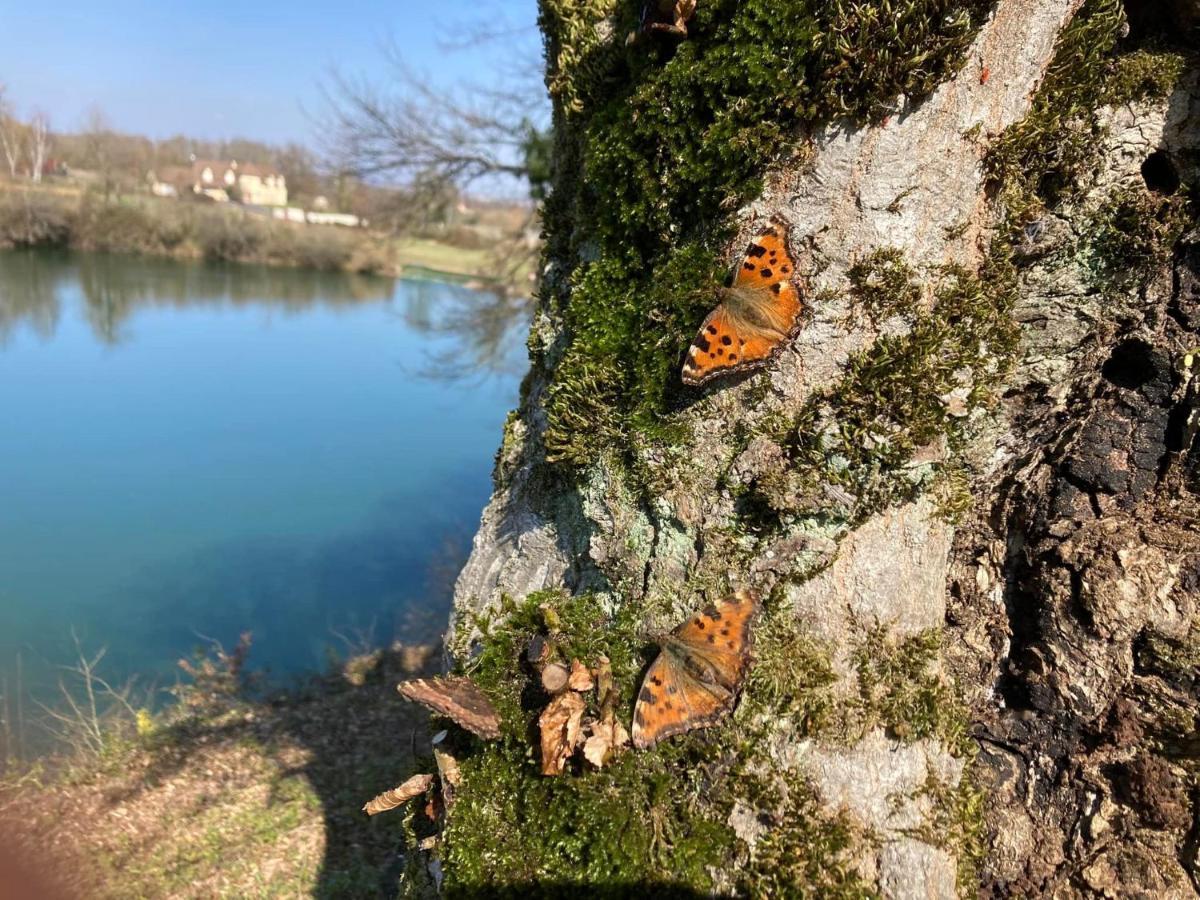 Lac De Lumiere. Relax With Rural Lakeside Living Herry Esterno foto