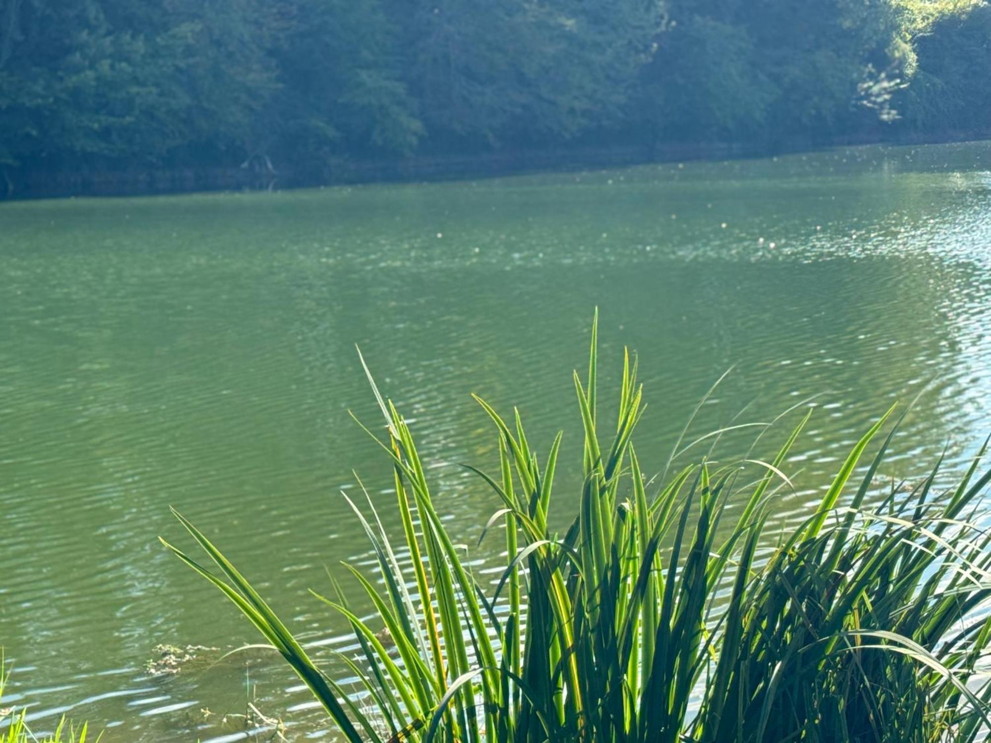 Lac De Lumiere. Relax With Rural Lakeside Living Herry Esterno foto